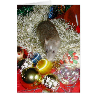 Blaize et les Baubles