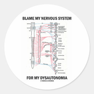 Blame My Nervous System For My Dysautonomia Classic Round Sticker