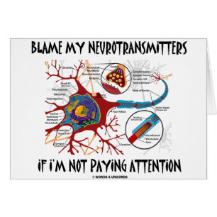 Blâmez mes neurotransmetteurs sinon prêtant