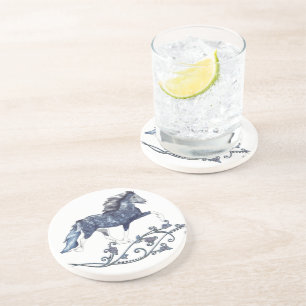 Blámóða Coaster