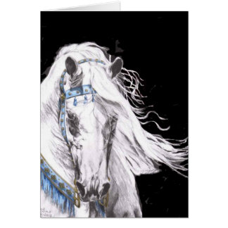 "Blanc Arabe "