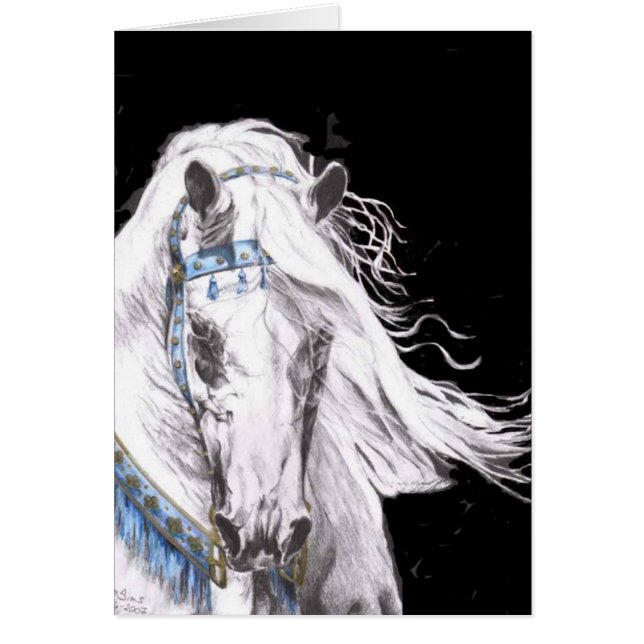 "Blanc Arabe " (Devant)