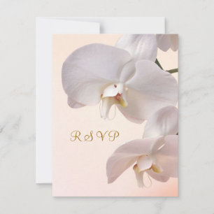 Blanc - crème Orchidées Réponse à l'invitation. RS