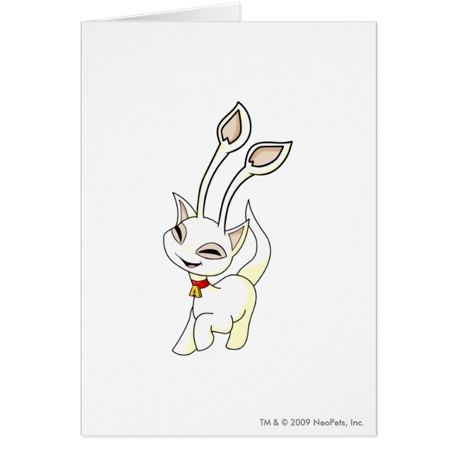 Blanc d'Aisha (Devant)