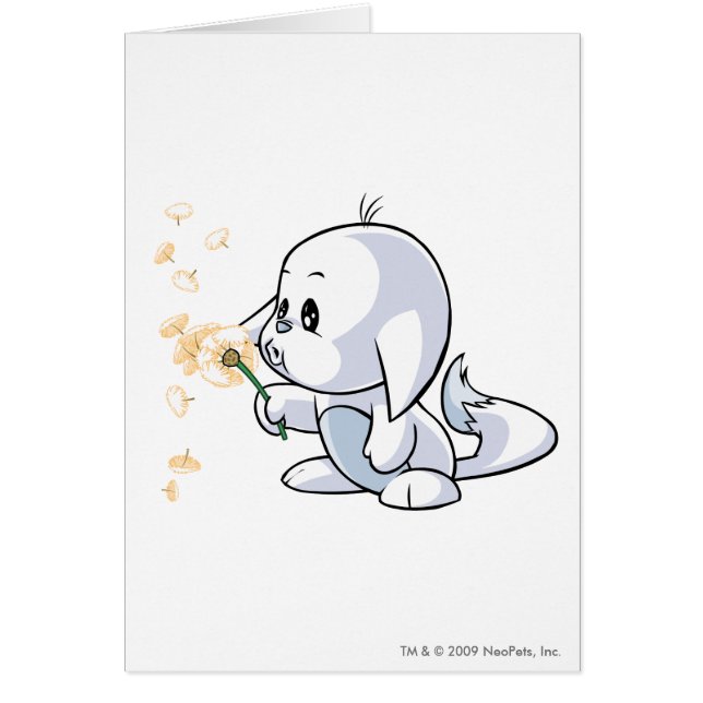 Blanc de Kacheek (Devant)