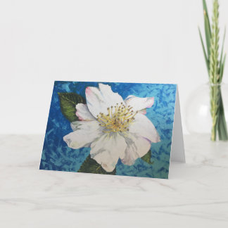 Blanc de la carte de voeux de rose cherokee (7" x