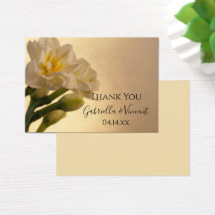 Blanc Double Daffodils Printemps Mariage Faveur Ta