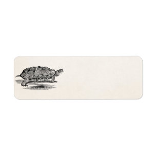 Blanc en bois vintage de modèle de tortue de