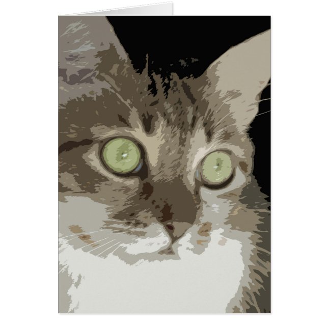 Blanc - fillette Kay (Devant)