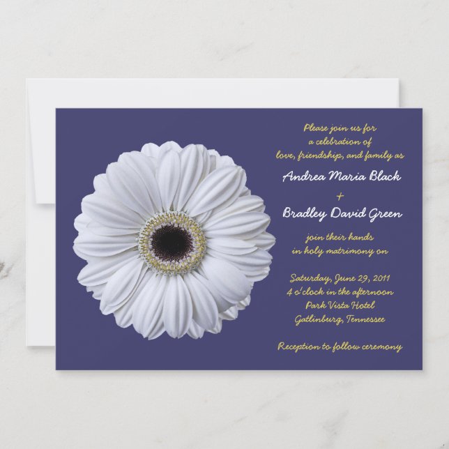 Blanc Gerbera Daisy Marine Bleu Faire-part de mari (Devant)