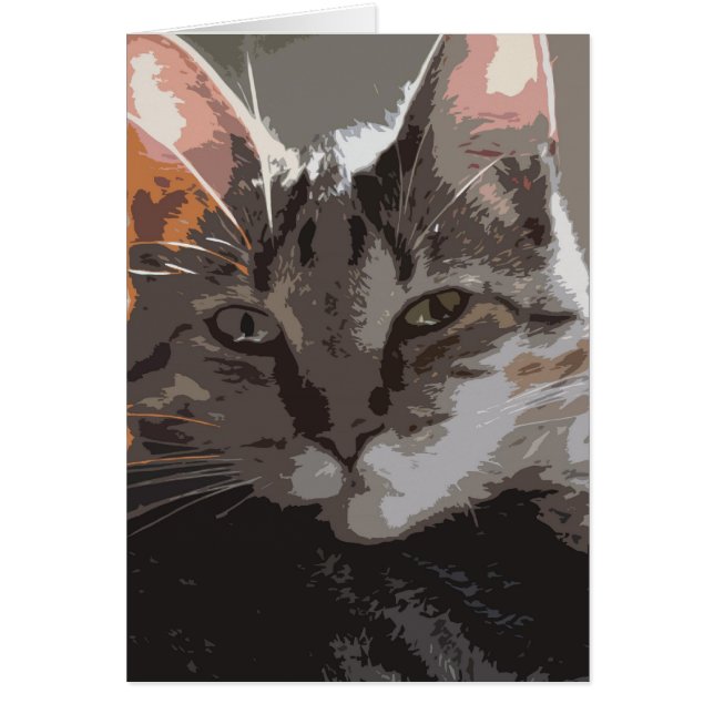 Blanc - Jakey (Devant)