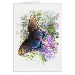 Blanc noir du papillon #2