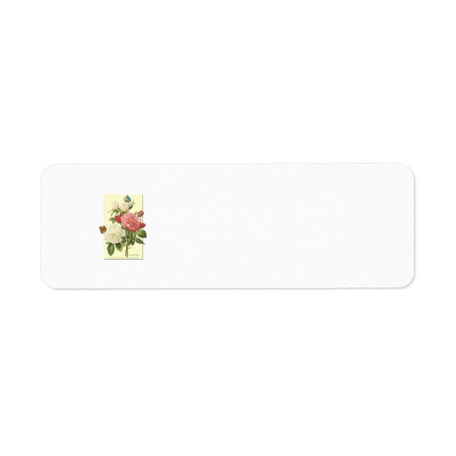 Blanc rose Vintage Roses botaniques (Devant)