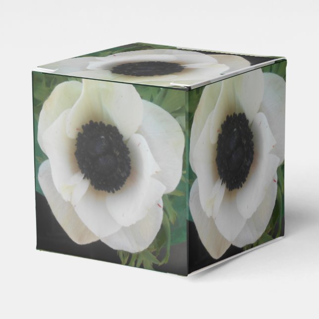 Blanchard Favor Box (Front Side)