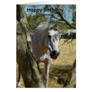Blanche Neige Le Cheval, Carte D'anniversaire