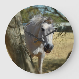 Blanche Neige Le Cheval, Grande horloge ronde de m