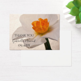 Blancs Daffodils de Printemps Noces Favour Tags