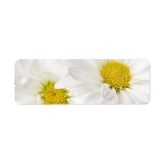 Blancs - Modèle Fleur de marguerite Customisé (Devant)