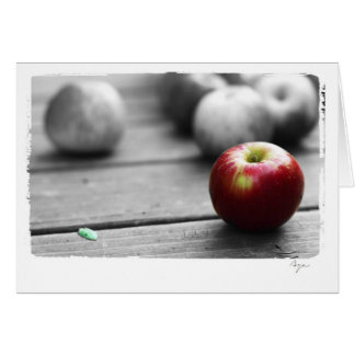 blank all occasion apple photography