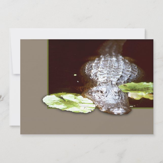 Blank Announcements (Front)