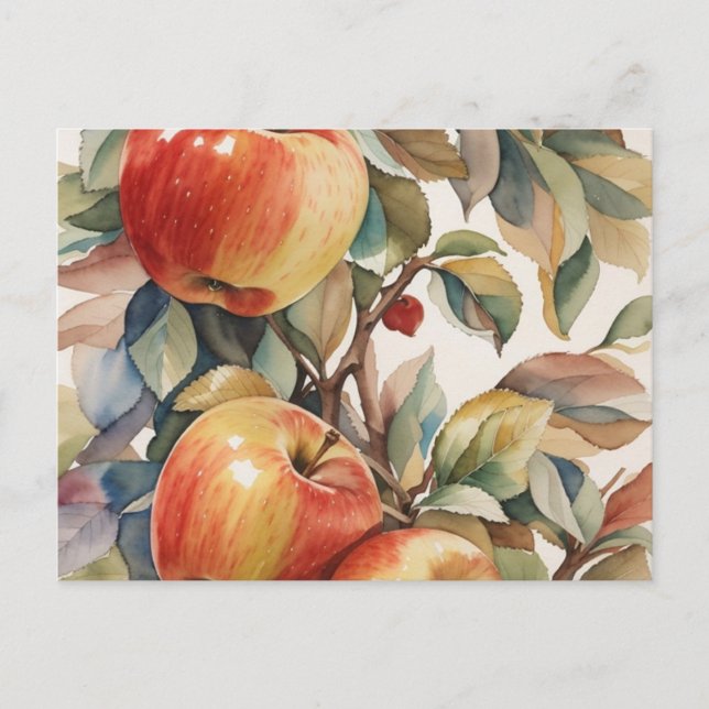 Blank Apple  Postcard (Front)