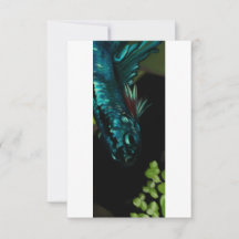 Blank - Azure Blue Betta Fish Painting 