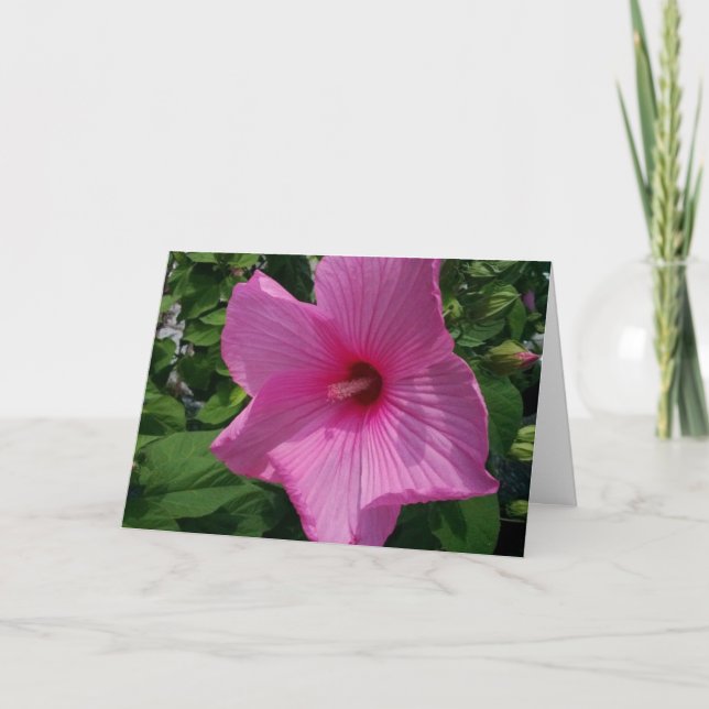 Blank Birthday Card (Front)