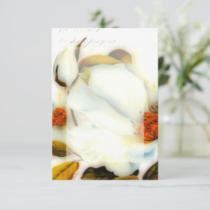 Blank budget White roses wedding  Invitation