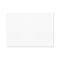 Blank Business Card - Chubby White
