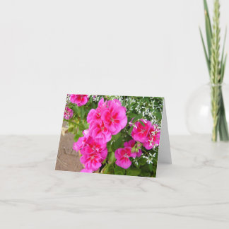 BLANK CARD
