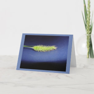 Blank Card