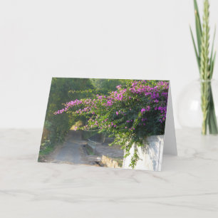 Blank Card - Bougainvillea on a wall