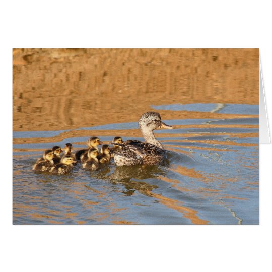 Blank Card, Ducklings Card