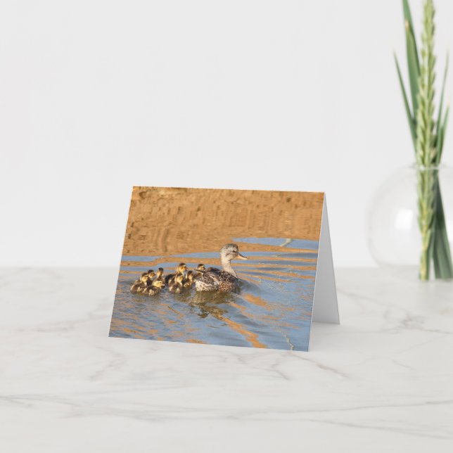 Blank Card, Ducklings Thank You Card (Front)