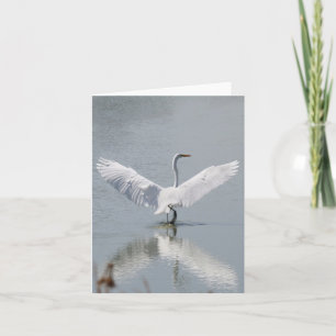 Blank Card, Egret Thank You Card