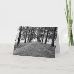 Blank Card - Historic Christ Church