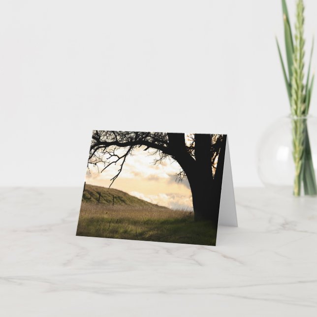 Blank Card, Landscape Thank You Card (Front)