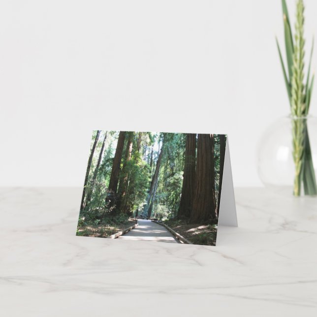 Blank Card, Muir Woods Card (Front)