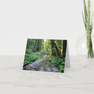 Blank Card, Muir Woods Thank You Card