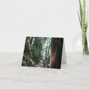 Blank Card, Muir Woods Thank You Card