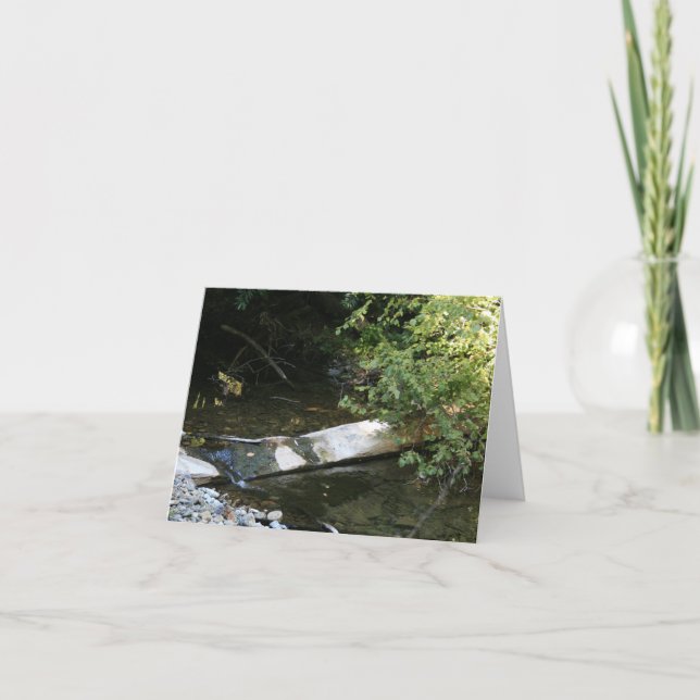 Blank Card, Muir Woods Thank You Card (Front)