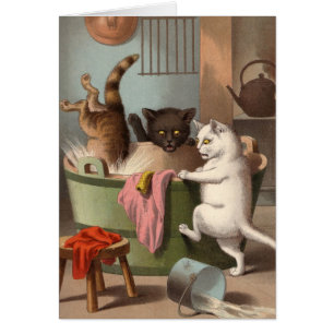 Blank card - Naughty Cat series - Cats Washday