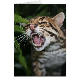 Blank card - Ocelot snarl