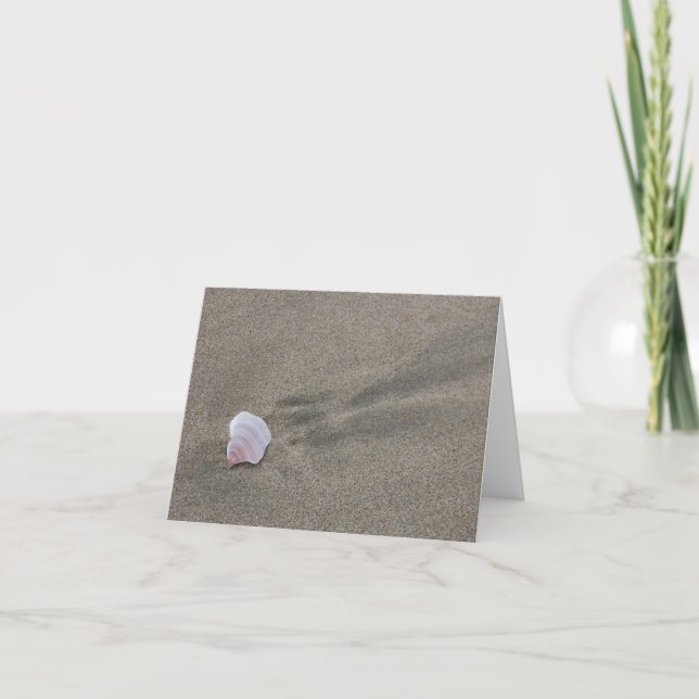 Blank Card - Shell in Sand (Front)