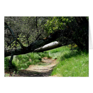 Blank Card, Spring Footpath