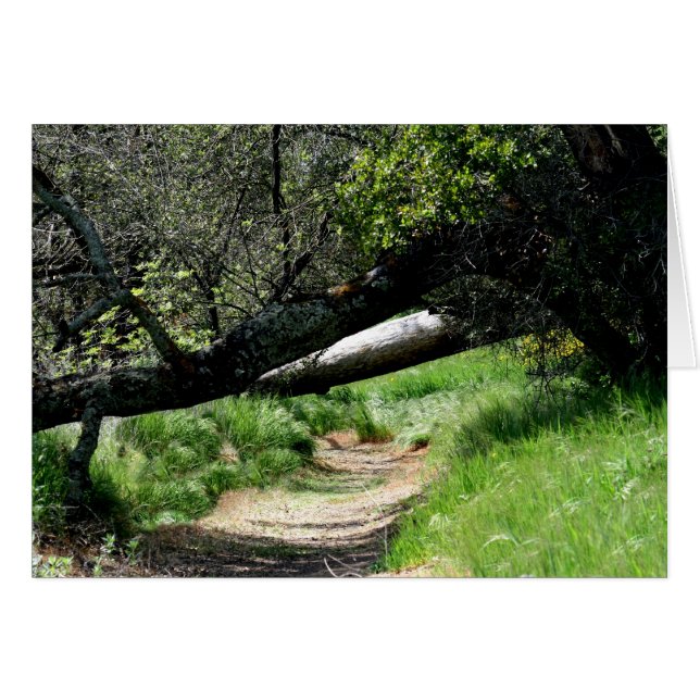 Blank Card, Spring Footpath (Front Horizontal)