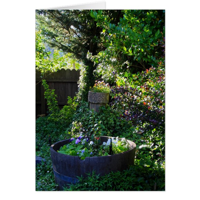 Blank Card, Viola Garden (Front)