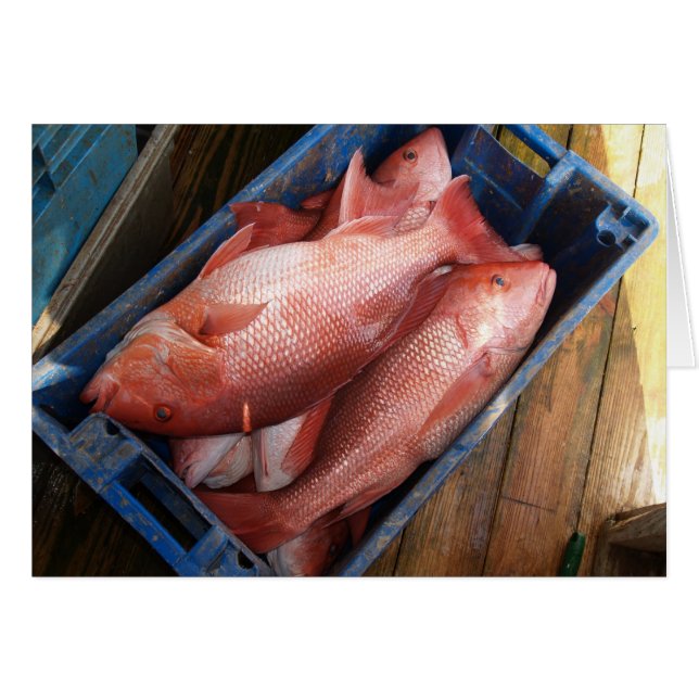 Blank Card with Red Snapper Background (Front Horizontal)