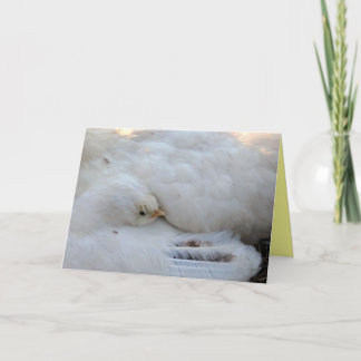 Blank Card with Verse