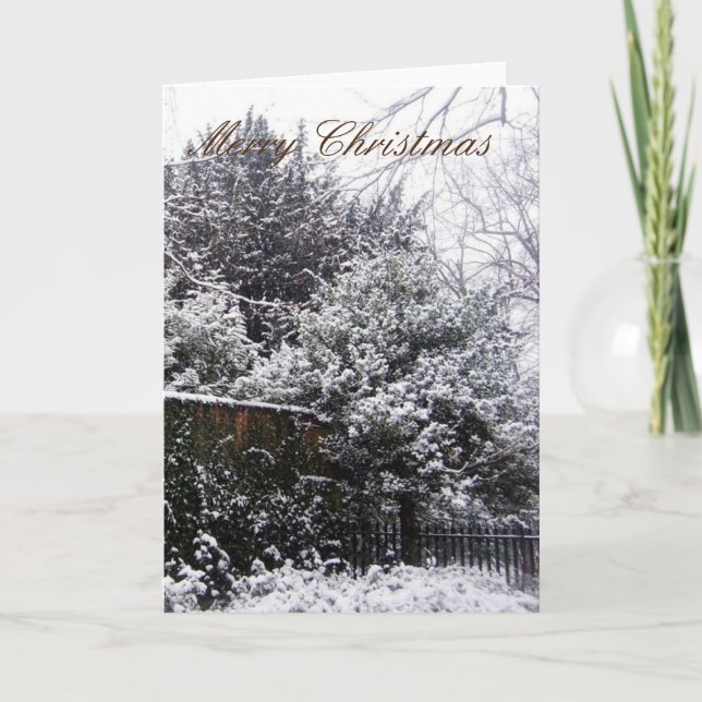 blank christmas card (Front)